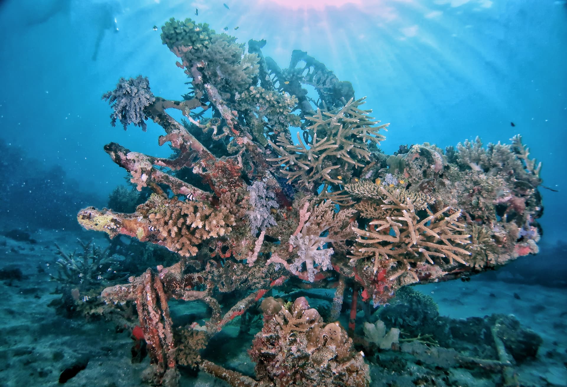 Biorock coral restoration structure
